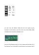 PCR과 Gel running을 이용해 대장균의 plasmid 관찰실험   (6 )